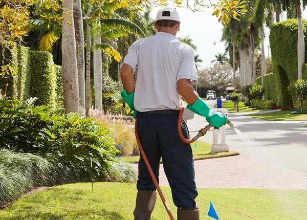 About Smithfield WV Pest Control
